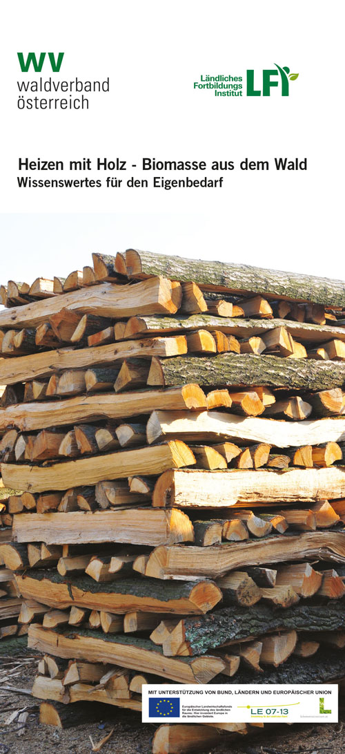 Heizen-mit-Holz---Biomasse-aus-dem-Wald-1