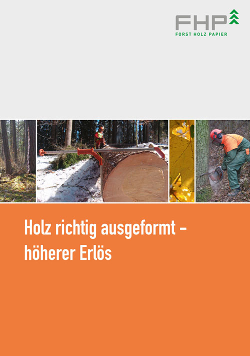 FHP_Holz_Innen