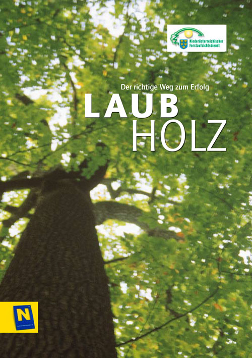Laubholz_-Der-richtige-Weg-zum-Erfolg_LFD-1