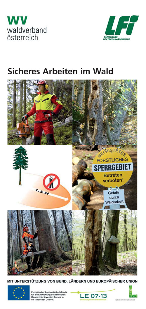 Arbeitssicherheit2011_Brennholzselbstgemacht