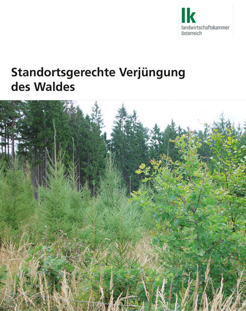 StandortgerechteVerjuengungDesWaldes-1