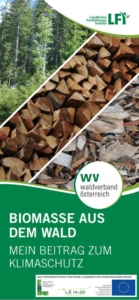 Biomasse aus dem Wald_Foto Deckblatt