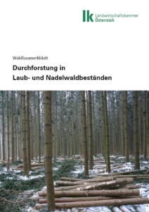 Durchforstung in Laub und Nadelwaldbeständen_Foto Deckblatt