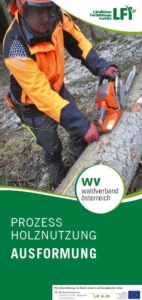 Prozess Holznutzung - Ausformung_Foto_Deckblatt
