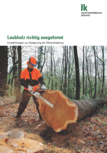 Titelbild_Laubholz richtig ausgeformt